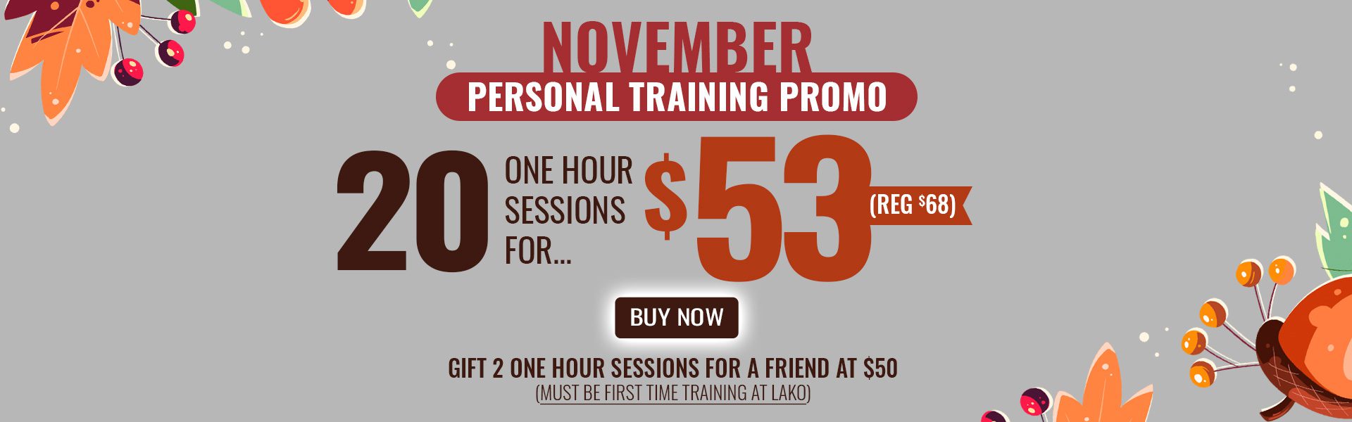 November Personal Training Promo - 20 One Hour Sessions for...$53.00. Regular price is $68.00